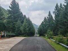 -苏木山森林公园