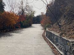 -北京鹫峰国家森林公园