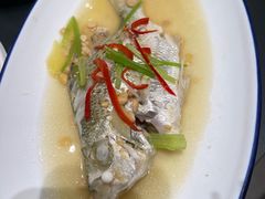 -吴记富苑(朝阳店)