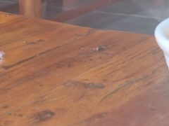 -老开封羊肉汤(新二十六街店)