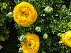 -上海浦江郊野公园·1号停车场