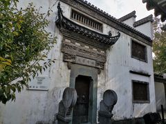 -两棵枇杷树