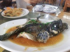 清蒸老虎斑-明记海鲜大排档(巽寮湾店)