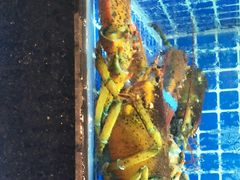 -徽三说·土徽菜·中国徽菜连锁品牌(一中店)