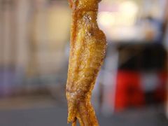 -凤城·食都