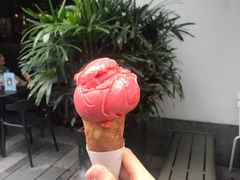 冰淇淋-Luneurs(幸福里店)