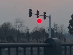 -合肥滨湖国家森林公园