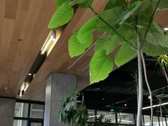 -山下C5cafe(惠通时代广场店)