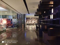 -武商摩尔影城(国广IMAX激光店)