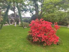 -浙江西子宾馆·瑶园咖啡厅