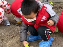 -井德幼儿园(泰达园)