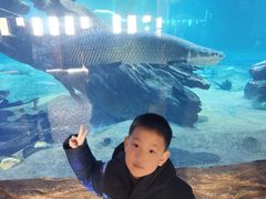 -华夏文旅海洋公园