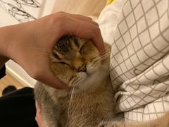 -肖肖酸萝卜鱼火锅(总店)