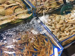 琵琶虾-济南海鲜大市场