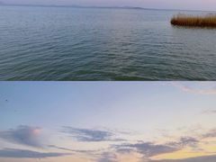 -贡湖湾湿地公园