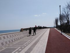 -星光岛