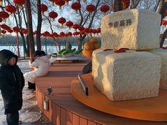 -北陵公园