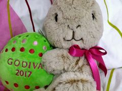 -GODIVA(海岸城店)