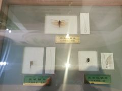 -上海昆虫博物馆
