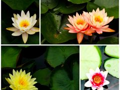 -白鹭湾湿地公园