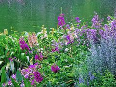 -人民公园(罗湖区)