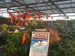 -老磨油饼(高陵店)