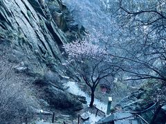 -华山风景名胜区