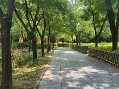 -洛阳白马寺