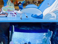 -海合安成都极地海洋公园