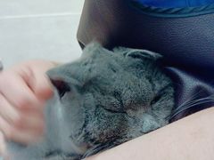 -宠福鑫康馨动物医院·骨科·眼科