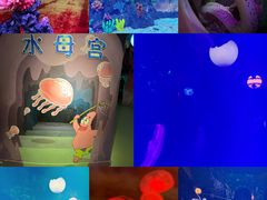 -台州海洋世界