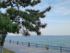 -悦海公园