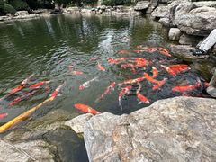 -青岛鑫江温德姆酒店