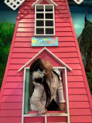 -酷嗒动物文化乐园(cutezoo西溪乐天城店)