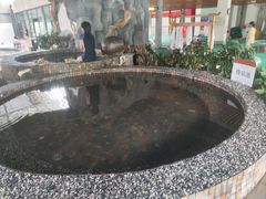 -河北霸州茗汤日月潭温泉