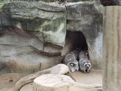 -杭州野生动物世界