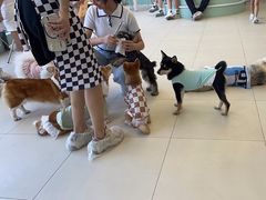 -怪兽屋·羊驼·猫咖·狗咖(俊华广场店)