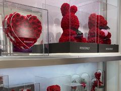 -ROSEONLY诺誓(广州K11店)