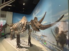 -国家自然博物馆