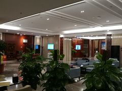 -郑州新郑国际机场T2航站楼-贵宾厅B区