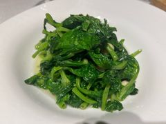 豆苗莲子-食廬(浦东嘉里城店)