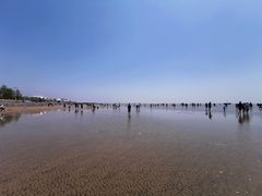 -刘家湾赶海园