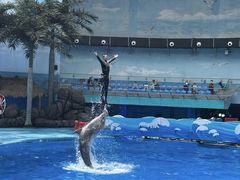-海合安成都极地海洋公园