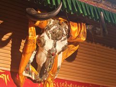 -吉祥圣雪藏餐