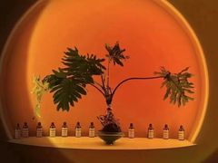 -南城故事柔式幻装Spa·按摩养生馆(世纪城店)