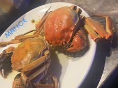 -曼格活海鲜·牛排自助(光明蓝鲸店)