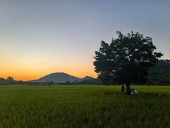 -风云岭森林公园
