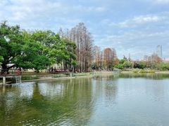 -四海公园(南山区)