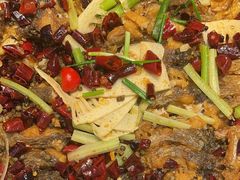 -老板恋上鱼(印象城店)