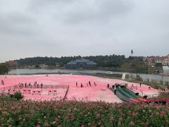 -大塘金香草谷
